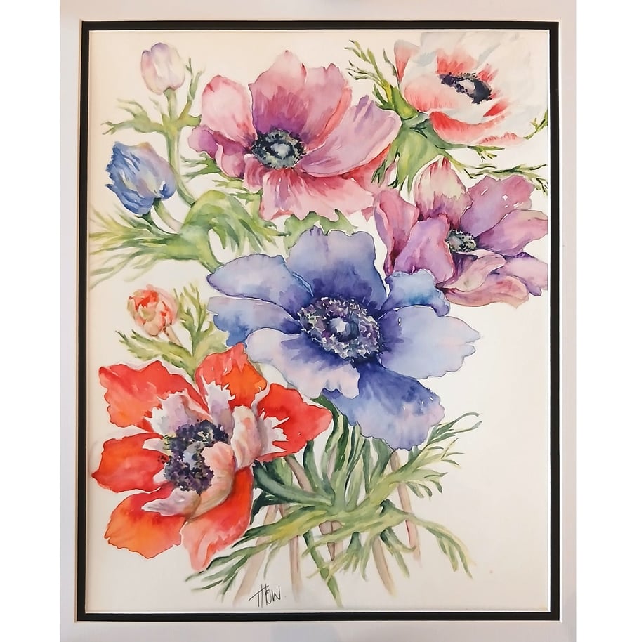 Anenomes