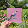 Jay card
