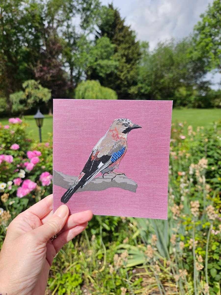 Jay card, blank cards, garden bird, bird lover, bird watching