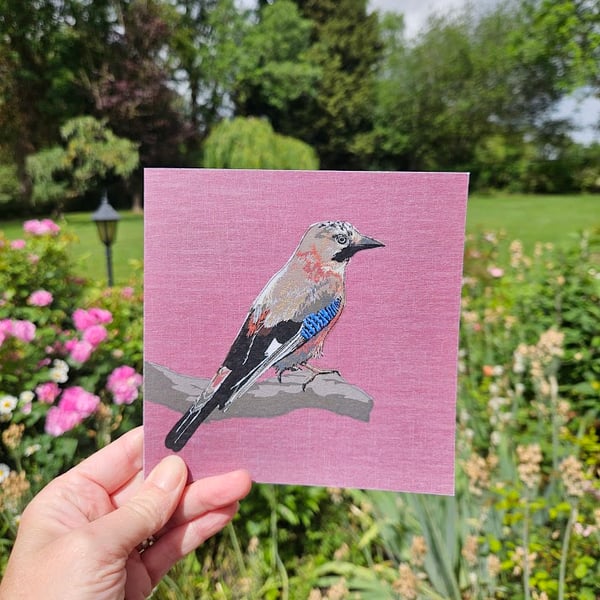 Jay card, blank cards, garden bird, bird lover, bird watching