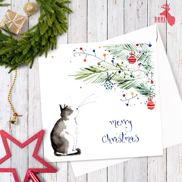 Louise Mulgrew - Cat