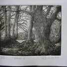 Moody drypoint etching of Exmoor birch grove