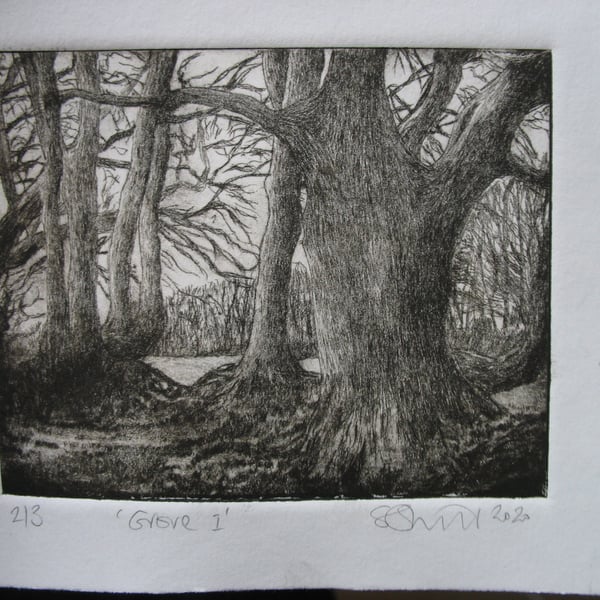 Moody drypoint etching of Exmoor birch grove