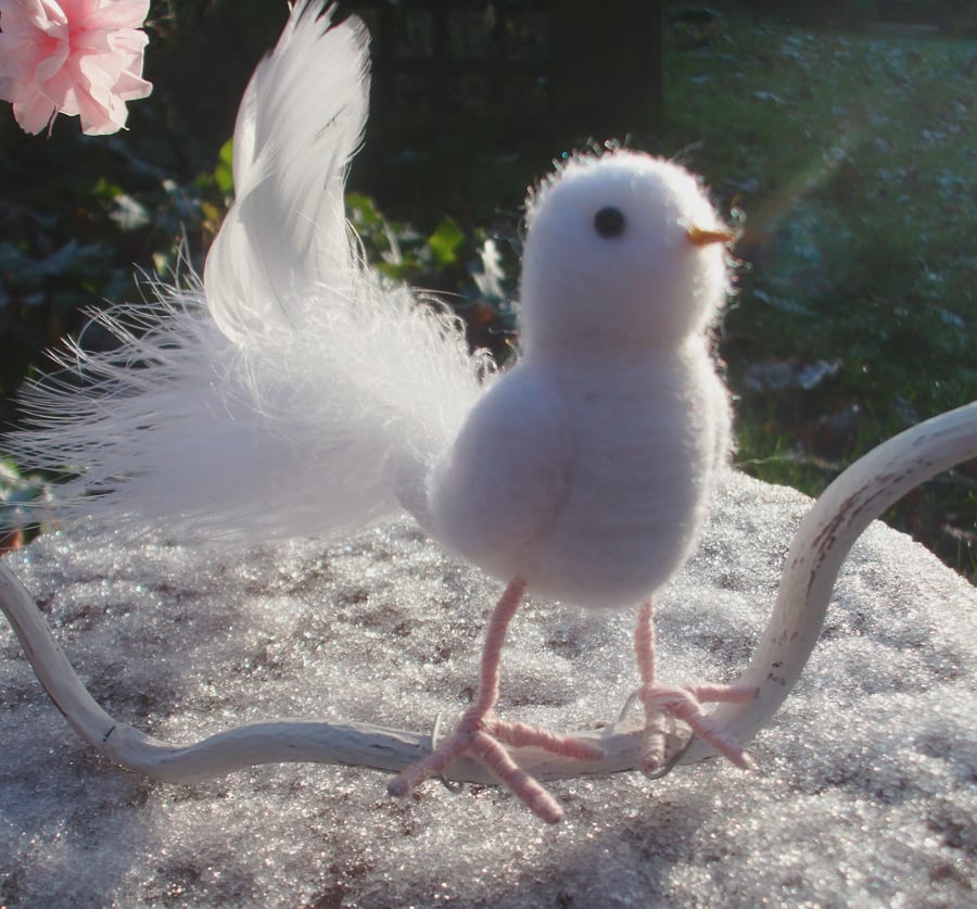 WHITE NEEDLEFELT DOVE