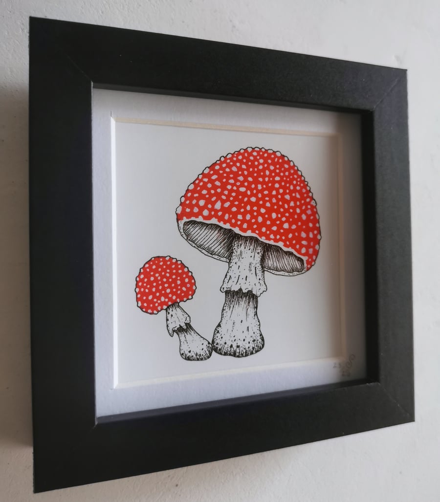 Red Fly Agaric Mushrooms - Limited Framed Print