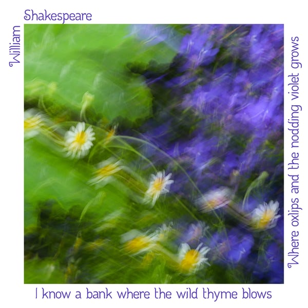 Impressionist Floral & Plant Photography Print With Shakespearean Quote