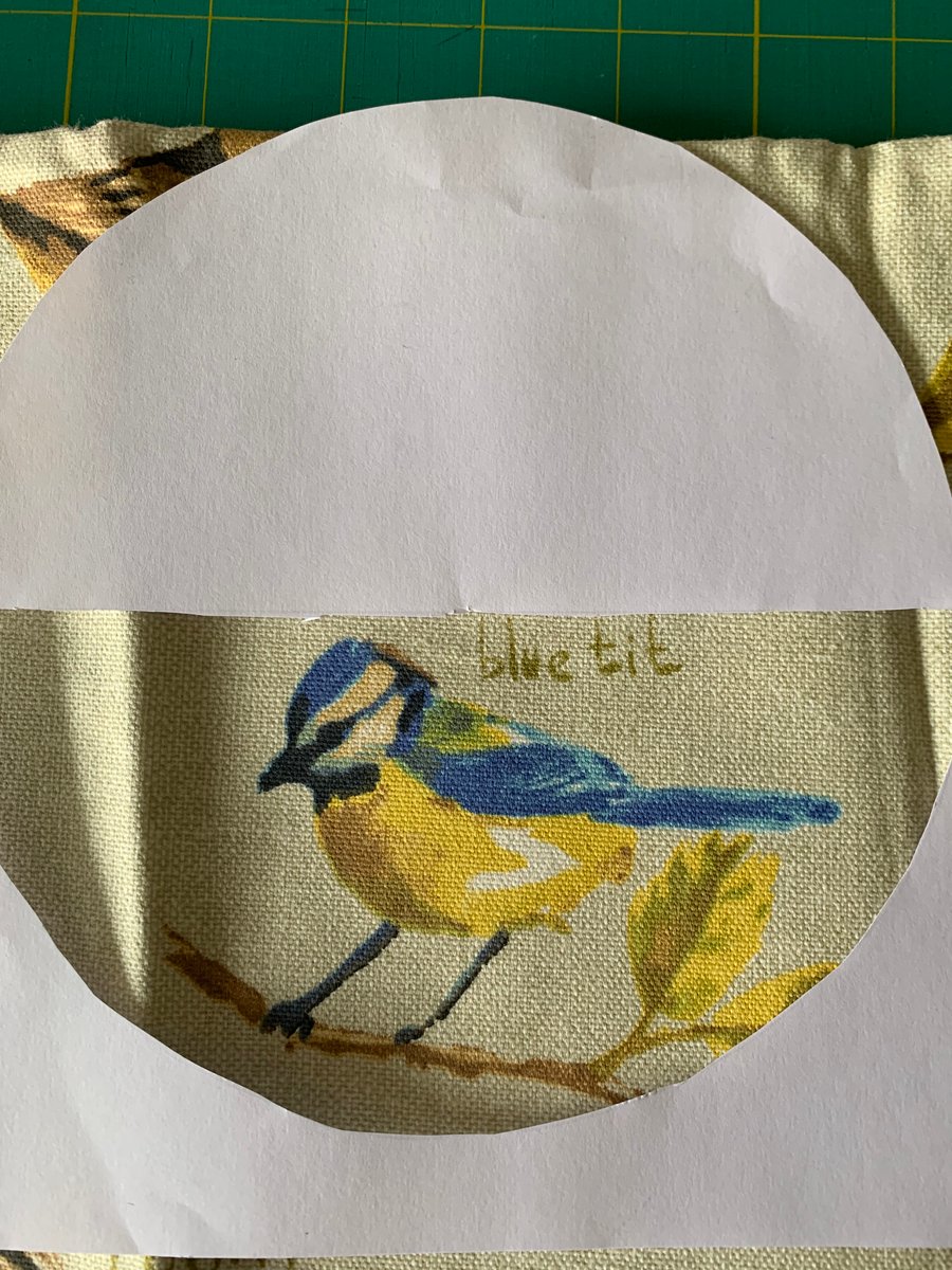 Reserved for Fenella H - Blue Tit