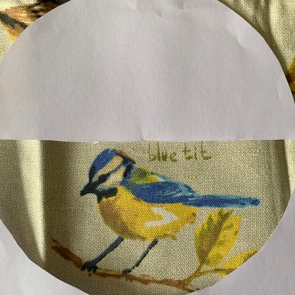 Reserved for Fenella H - Blue Tit