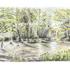 Fun at Flashetts- River Test at Flashetts, Overton, Hants- Limited Edition Print