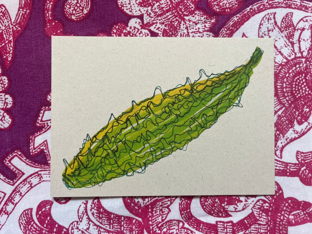 Bitter Gourd A6 Print