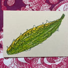 Bitter Gourd A6 Print