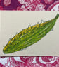 Bitter Gourd A6 Print