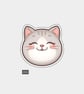 Funny Vinyl Sticker For Adults - Cute Cat Face