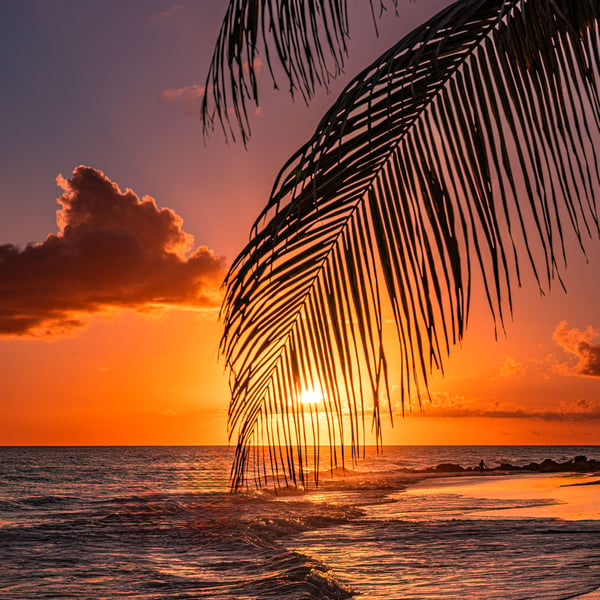 A magnificent wall art sunset on the tropical Island of Barbados