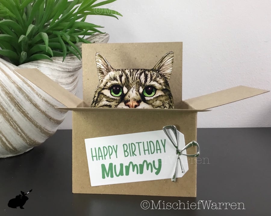 Grey Tabby Cat in a Box Card. 3D Blank or Personalised Card. Gift card holder.