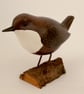 Dipper on driftwood - Image 5