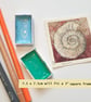 Little ammonite fossil original art miniature, artwork, tiny painting - Image 8