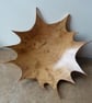 STAR  DISH - Image 4