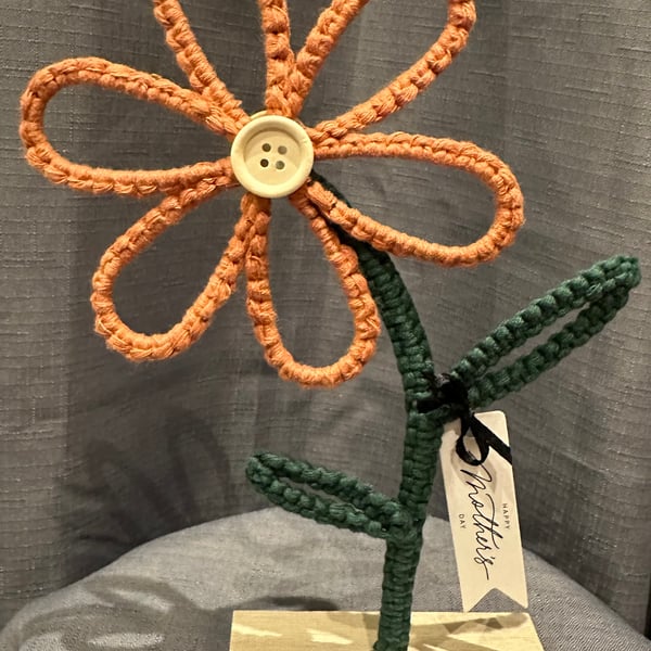 Handmade macrame flower