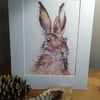  Mounted A4  or A3 signed Art Print, Hare