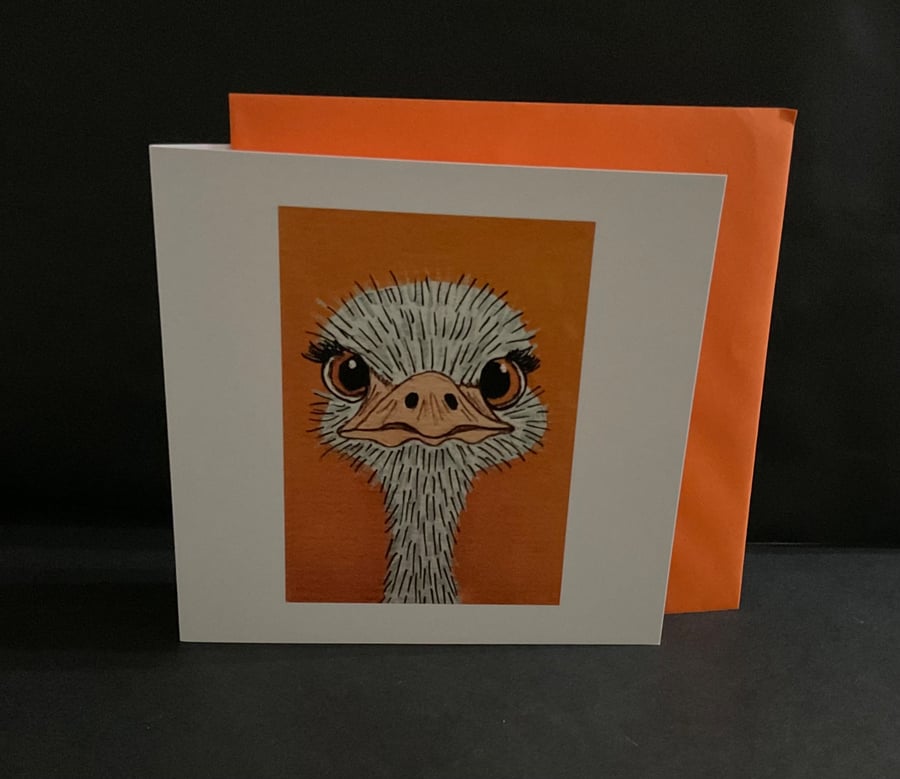 O is for Ostrich blank fun style greeting card 