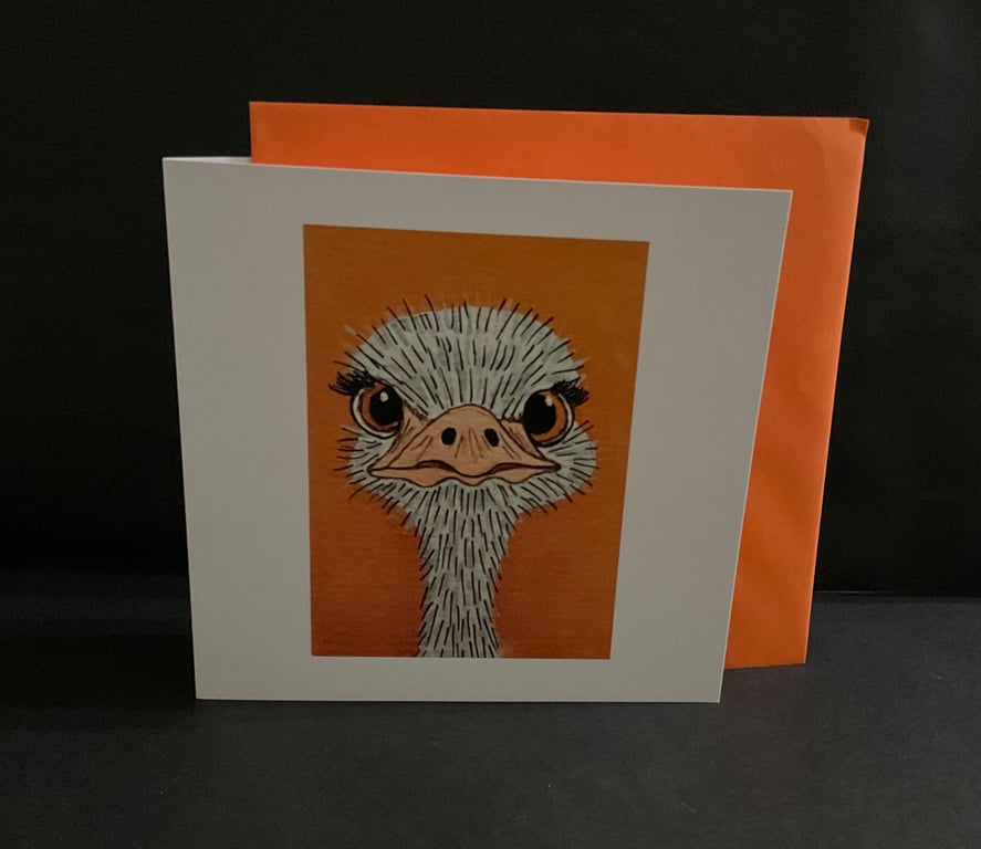 O is for Ostrich blank fun style greeting card 