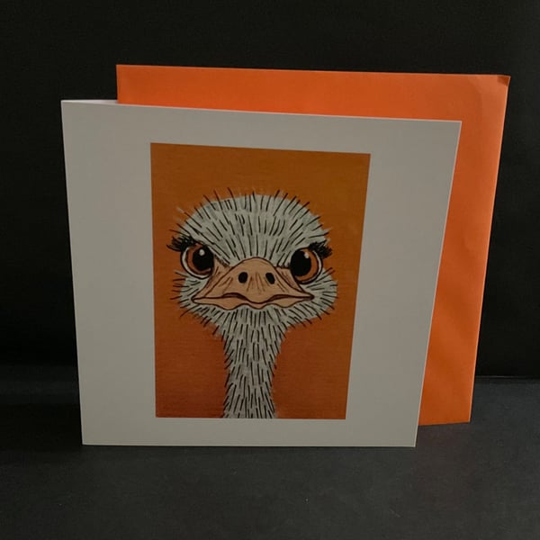 O is for Ostrich blank fun style greeting card 
