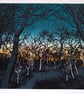 'Night Trees' original screen print - Image 2