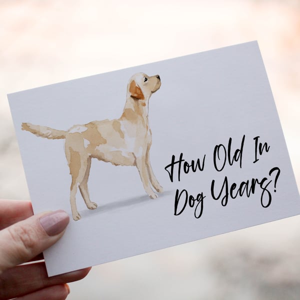 Labrador Retriever Dog Birthday Card, Dog Birthday Card, Personalized Dog Breed