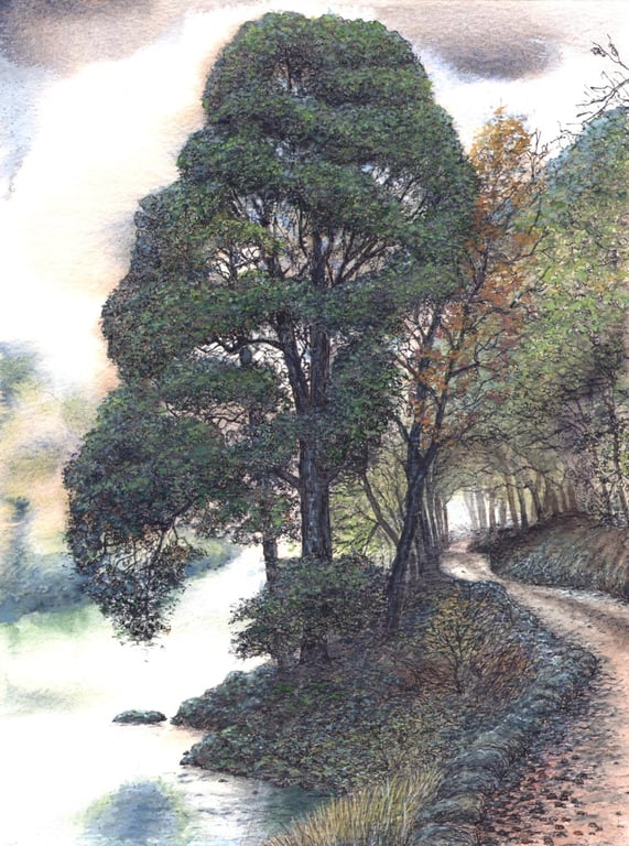 Mixed Media on Paper - River Wharfe, North Yorkshire