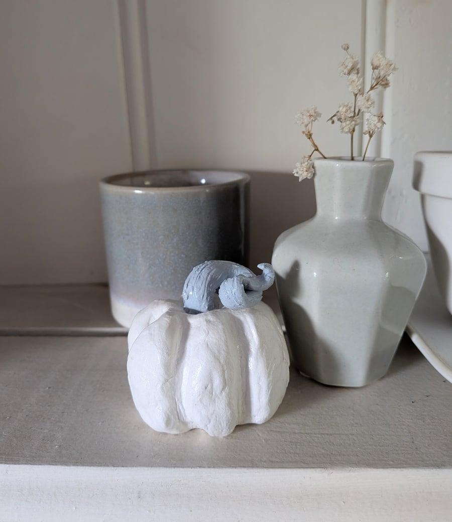 Duck Egg Blue Textured Pumpkin