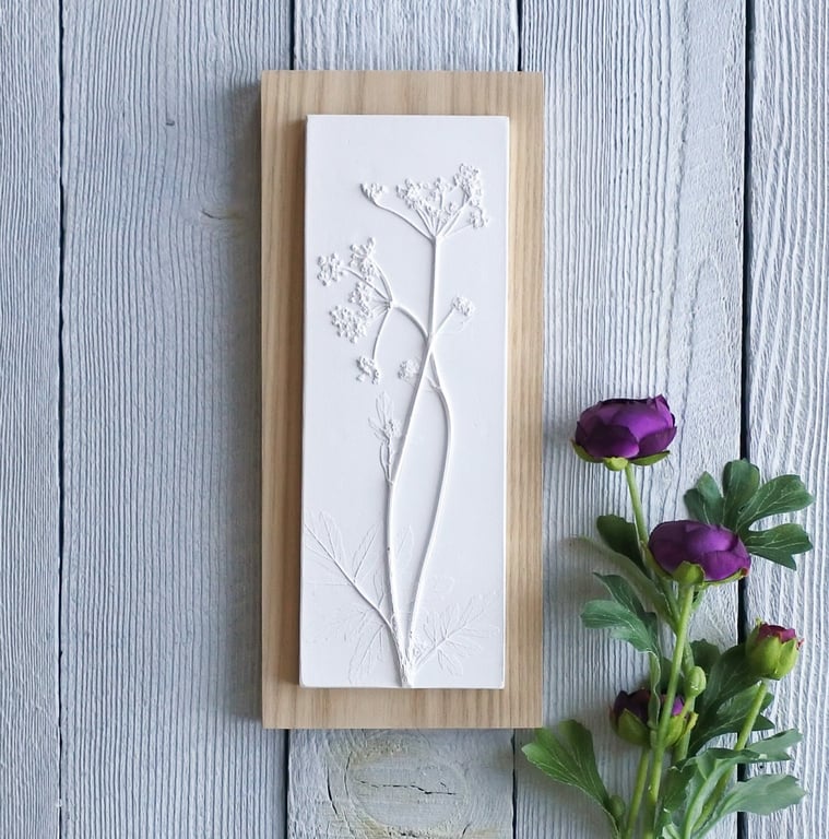 Cow Parsley No.3 Plaster Cast Wall Plaque, Limited Edition