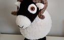 Sammy the Swaledale and Friends