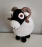 Sammy the Swaledale Sheep