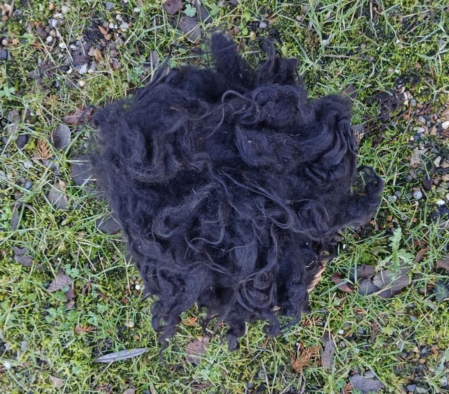 Hebridean Fleece, 50g