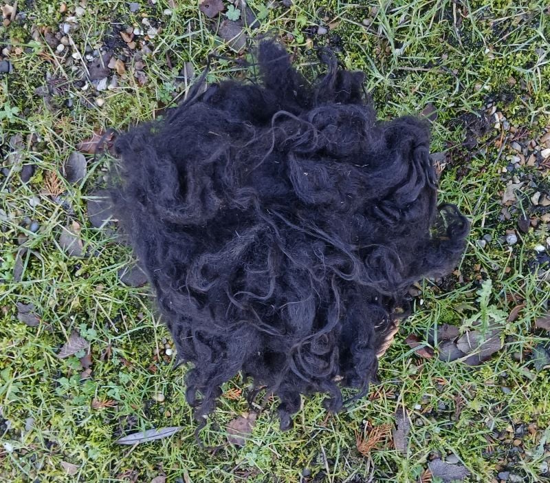 Hebridean Fleece, 50g