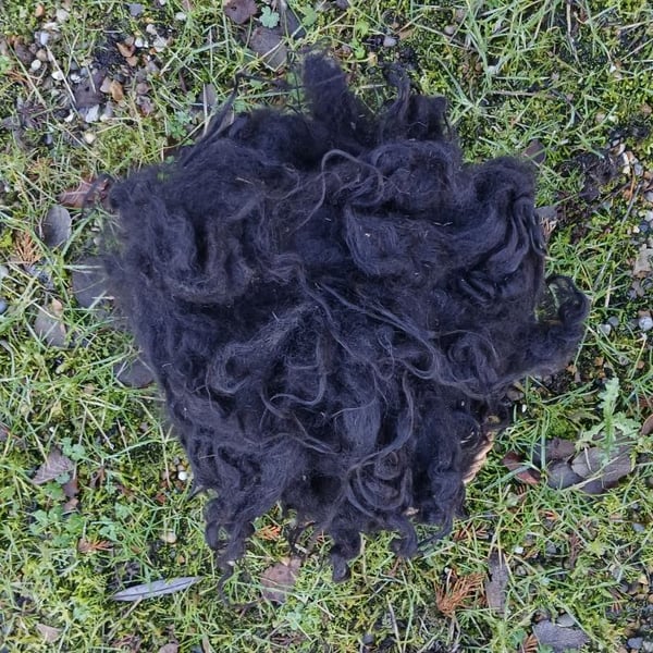 Hebridean Fleece, 50g