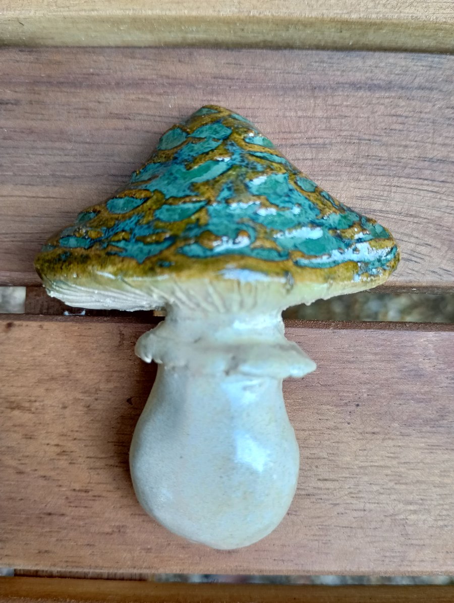 Mushroom fridge magnet