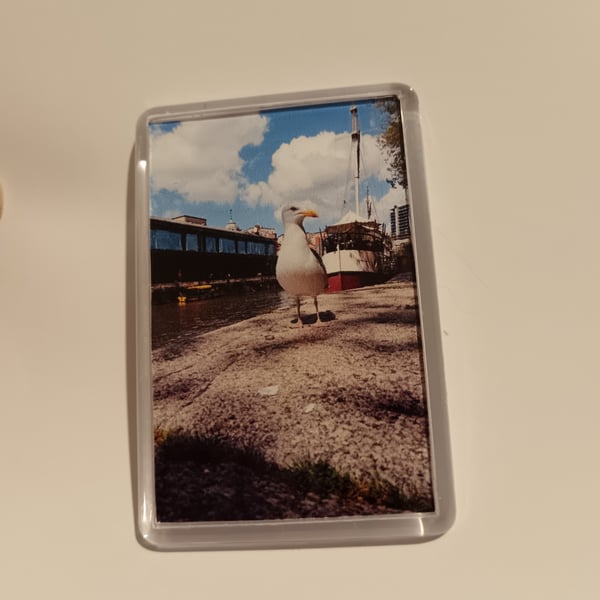 Bristol Nautical Seagull Bird Photography Fridge Magnet 