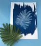 Botanical Art, Mimosa print Cyanotype, art for home, art as a gift. - Image 8