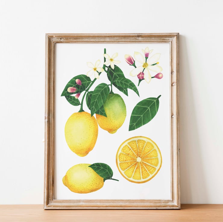 A4 lemon watercolour art print - Folksy