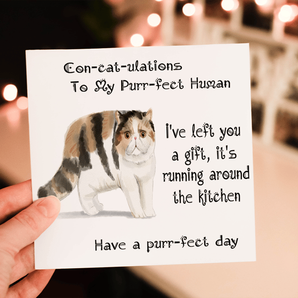 Exotic Shorthair Cat Birthday Card, Cat Birthday Card, Personalized Cat Breed