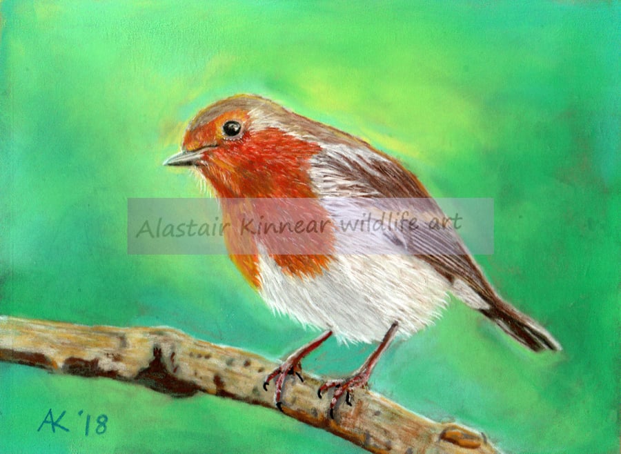 Robin waits for winter