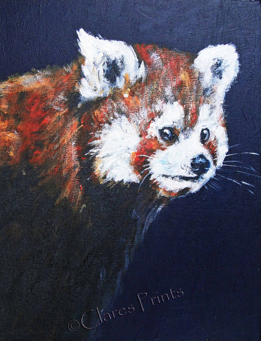 Animal Art Red Panda Original Acrylic Painting on Canvas
