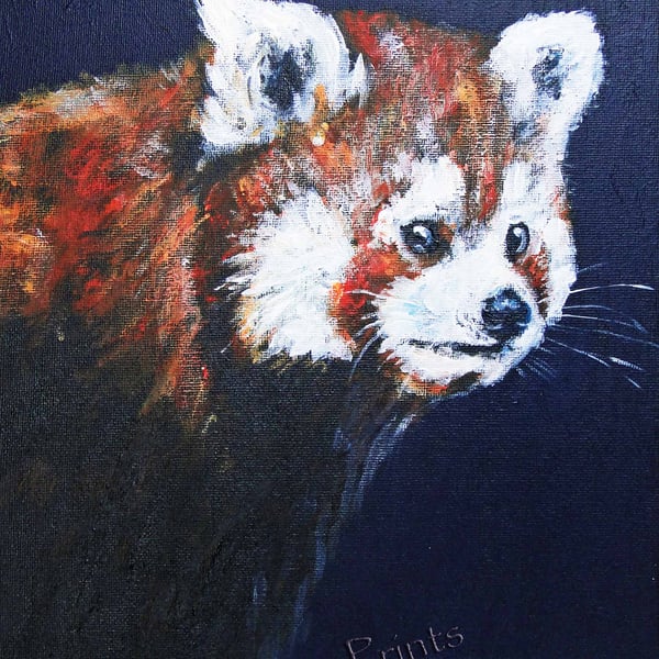 Animal Art Red Panda Original Acrylic Painting on Canvas