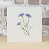 Blank Card Wildflower 'Cornflower Eco Friendly