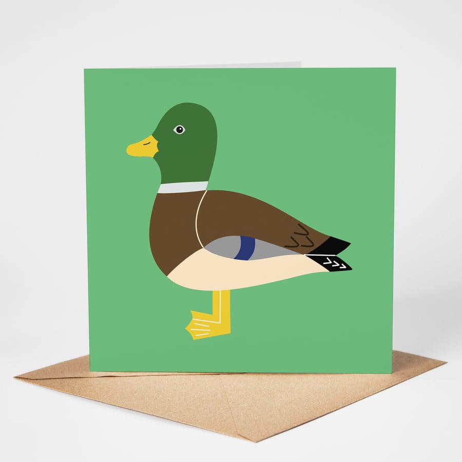 Mallard Greeting Card, Duck Blank Card, British Bird Card, Eco Friendly