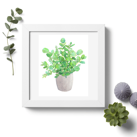 Eucalyptus Houseplant Digital Print