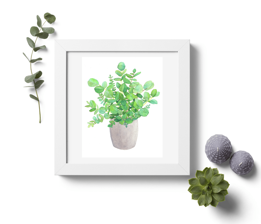 Eucalyptus Houseplant Digital Print