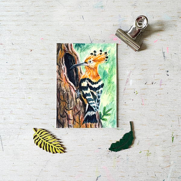 Hoopee Bird Original ACEO miniature painting - One of a kind